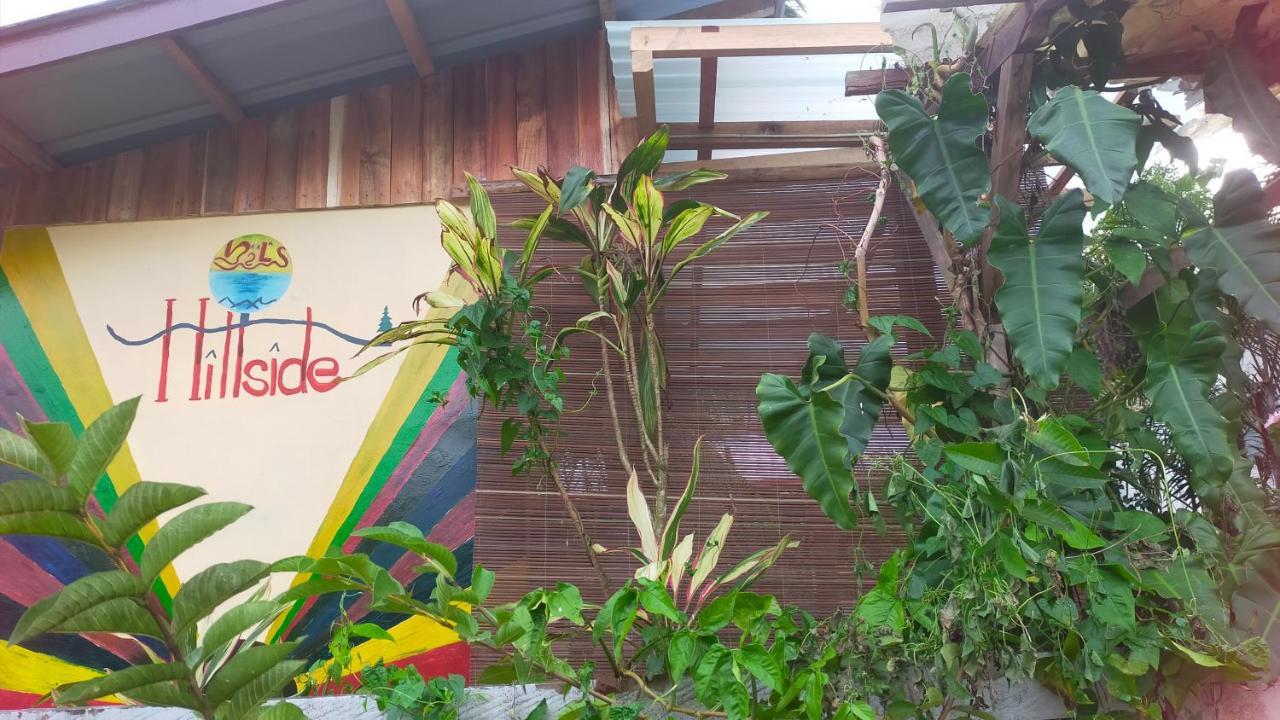 Mil'S Hillside Tourist Inn San Vicente  Exterior foto
