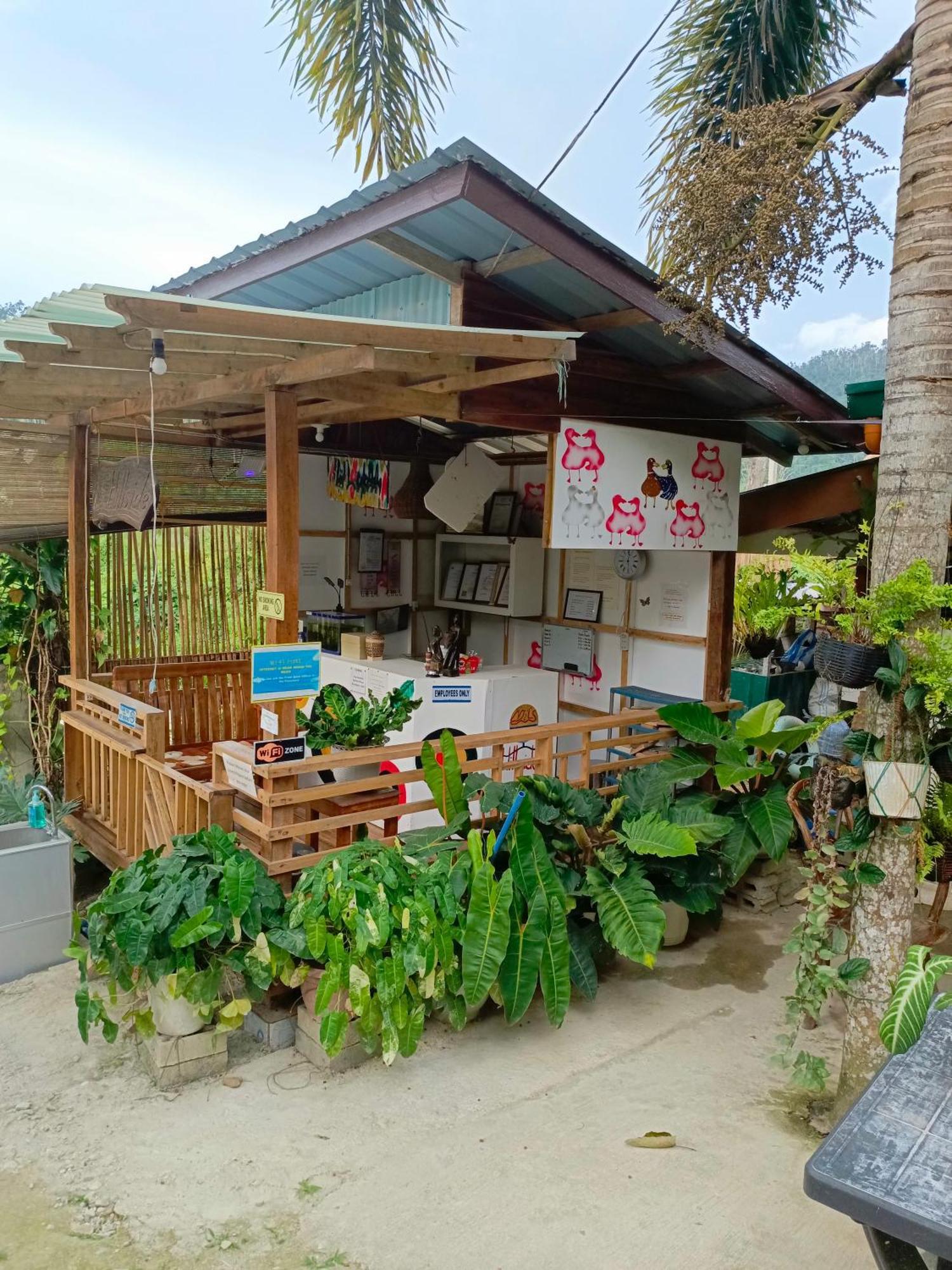 Mil'S Hillside Tourist Inn San Vicente  Exterior foto