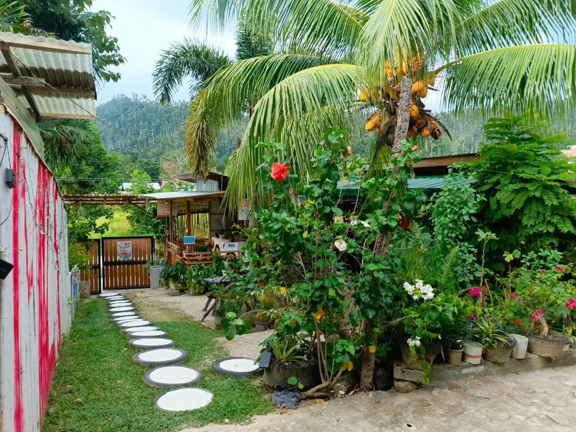 Mil'S Hillside Tourist Inn San Vicente  Exterior foto